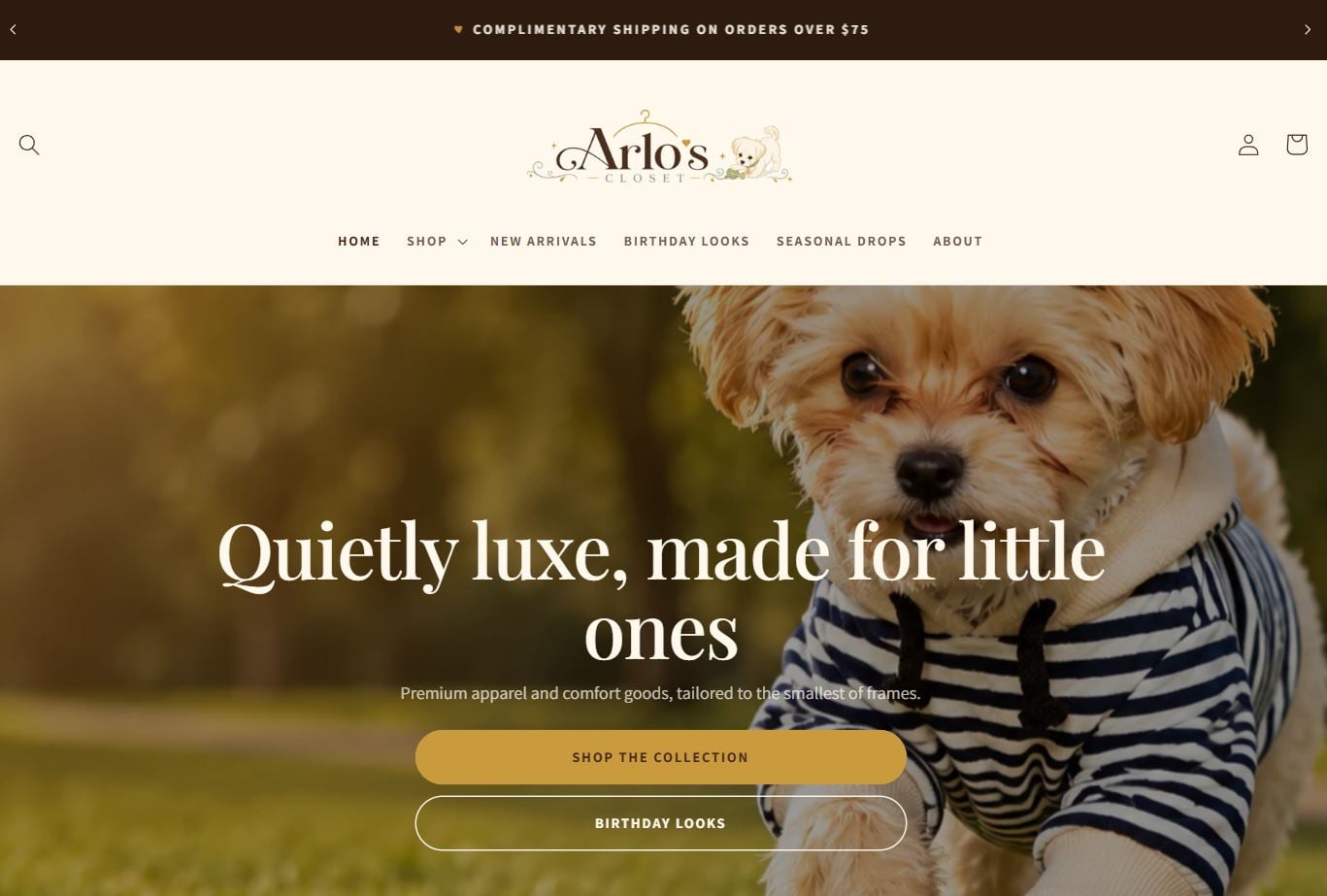 Websites project
